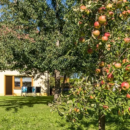 5 Morgensonne Hergensweiler